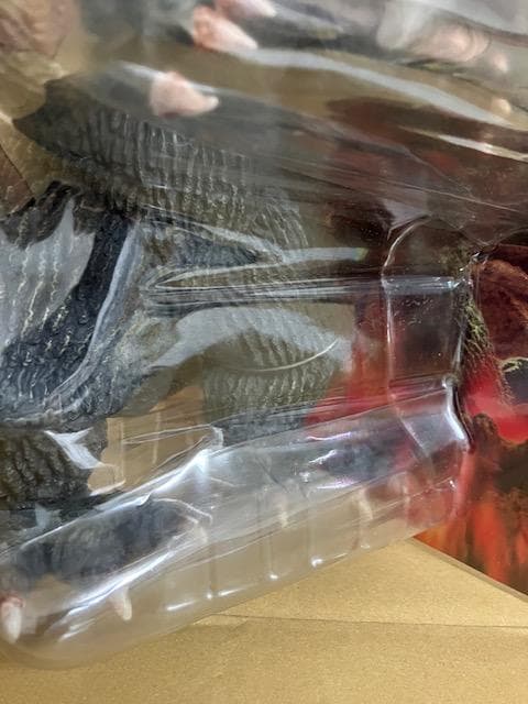 ☆ポピー 東宝怪獣総進撃 バンダイミュージアム限定 ゴジラ1962