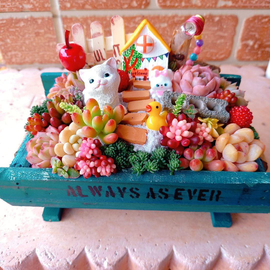 ❤️多肉植物❤️そのまま飾れる寄せ植え❤️箱庭風❤️ - メルカリ