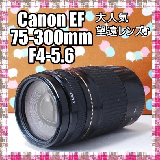 ✨人気の望遠レンズ✨Canon EF 75-300mm F4-5.6 Amazon.com : Canon EF 75-300mm f/4-5.6 III Telephoto Zoom Lens for