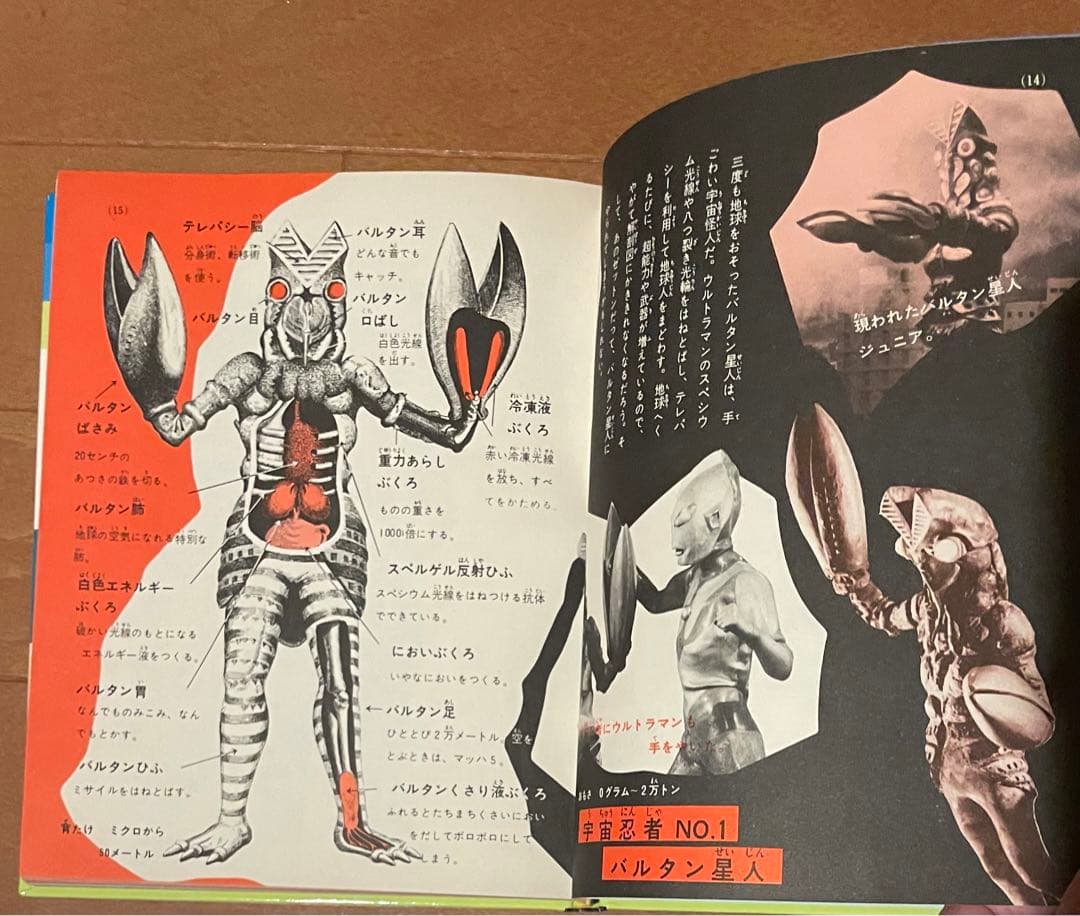 希少ハードケース付き 小学館入門百科シリーズ 怪獣図鑑入門 構成 大伴