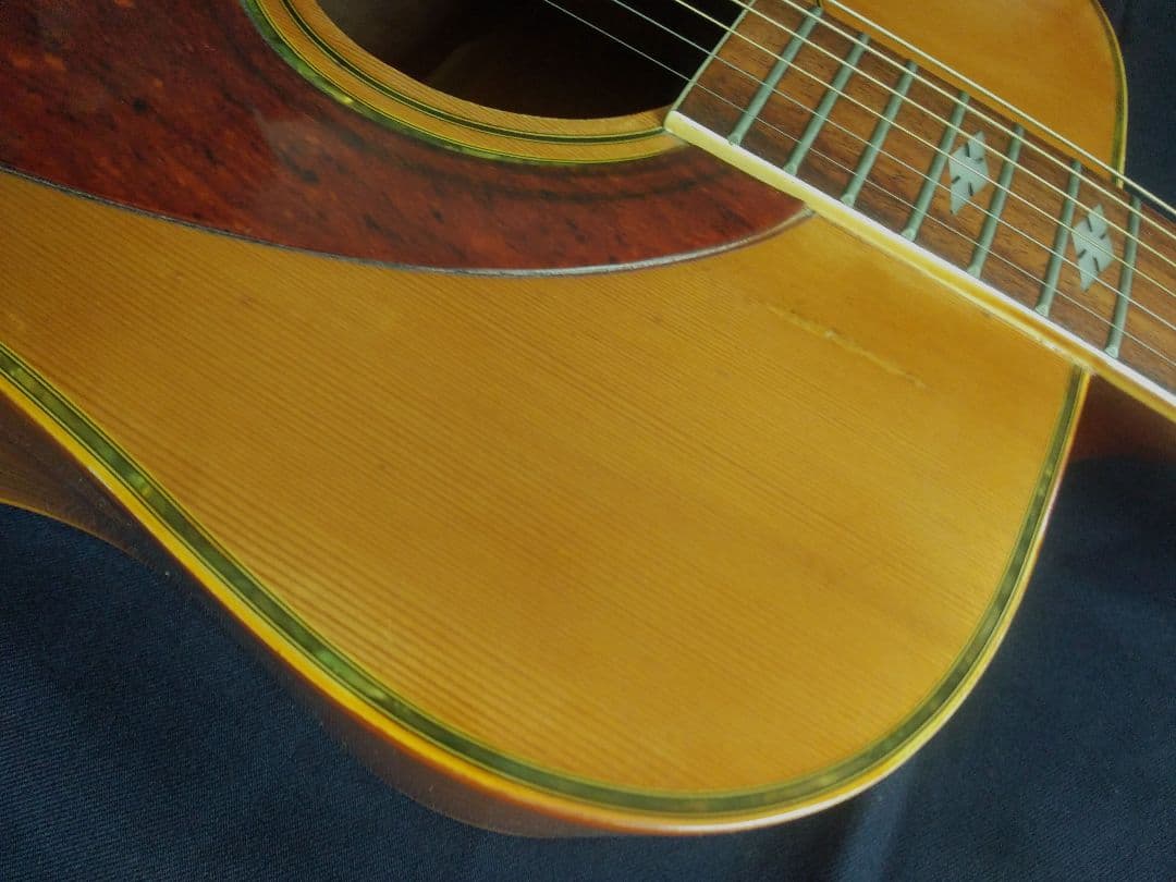TAKEHARU GUITAR WT-250 made in Japan