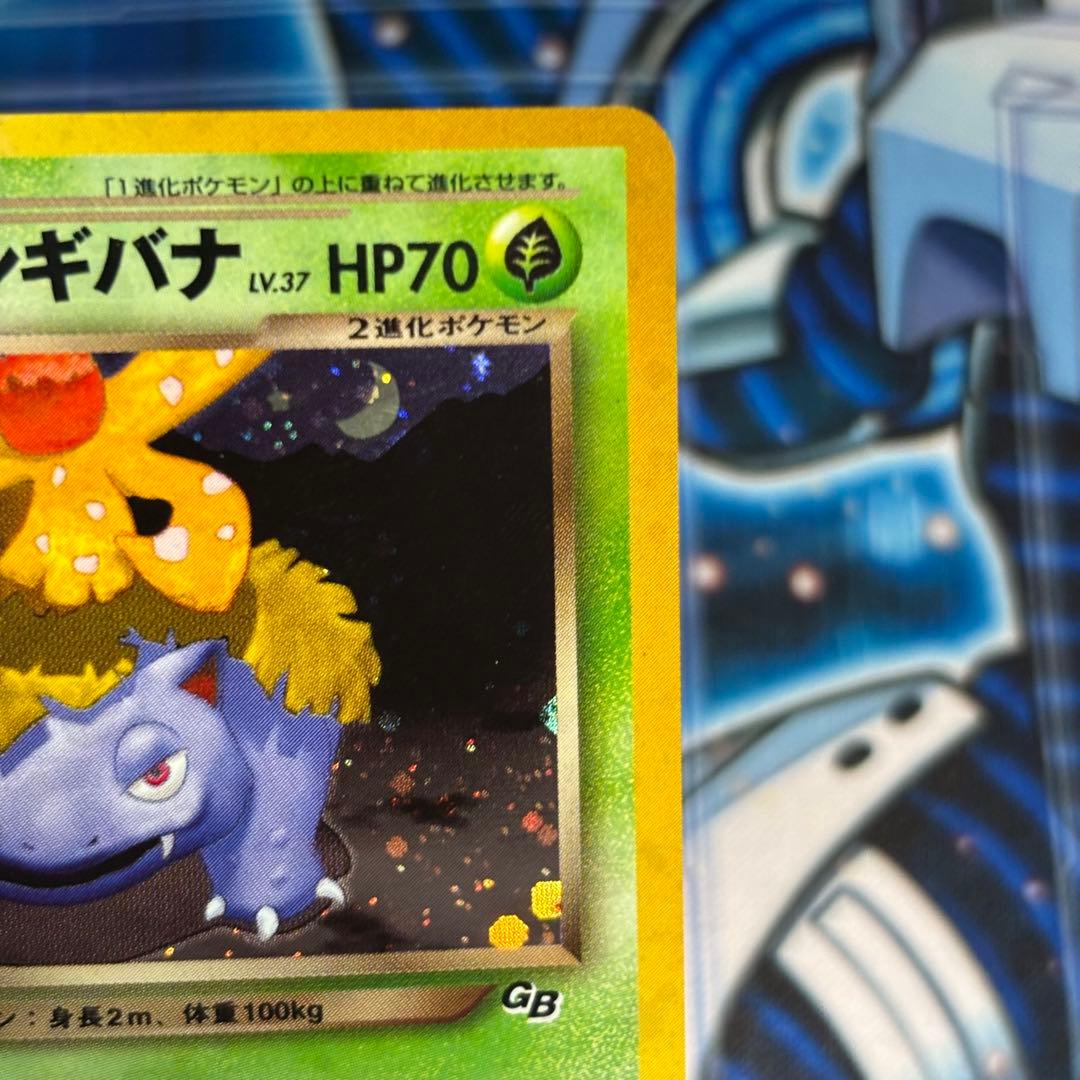 美品-極美品】旧裏わるいフシギバナ LV.37GBプロモ No.003 - メルカリ