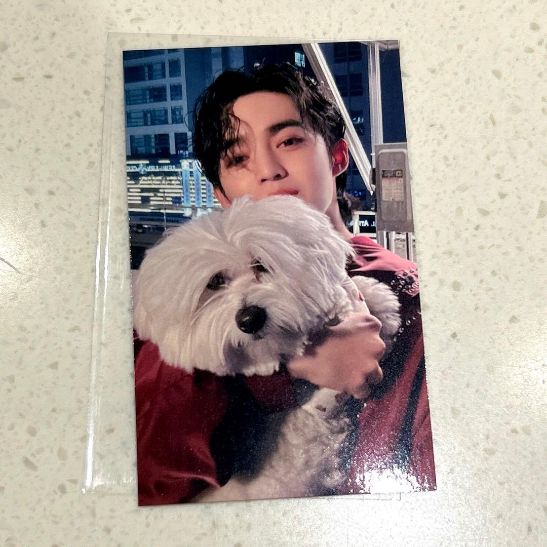 エスクプス クマ トレカ seventeen 東京ドーム FML - メルカリ