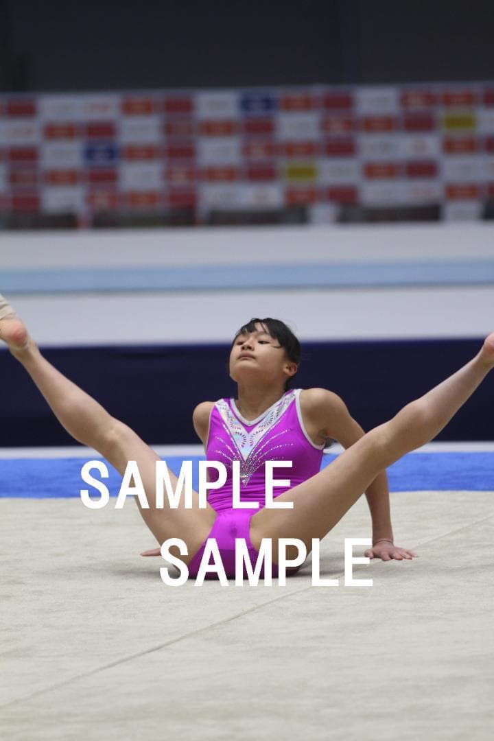 ひなた様専用】97~19年 女子体操画像集(日本選手中心) 48万枚以上