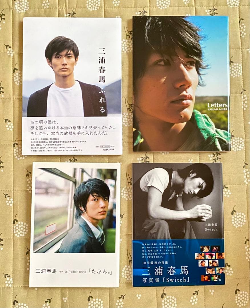 三浦春馬 写真集 4点セット(ふれる、Letters、Switch、たぶん
