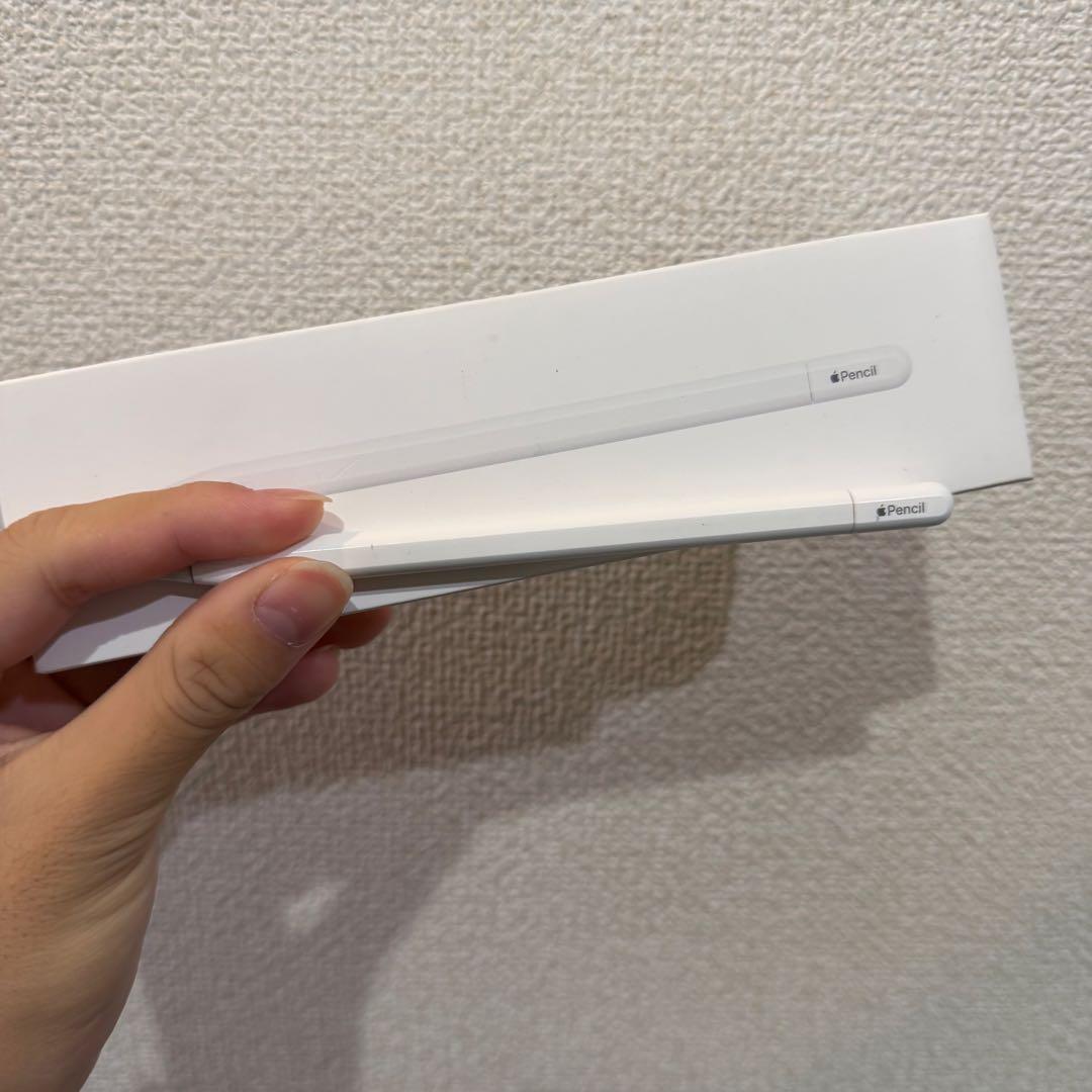 Apple Pencil（USB-C）元箱付き Apple Pencil（USB-C）[整備済製品] - Apple（日本）