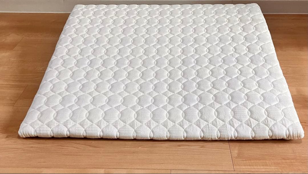 送料込&匿名配送 背上げマット「ラクーイ10度」安心の日本製 傾斜