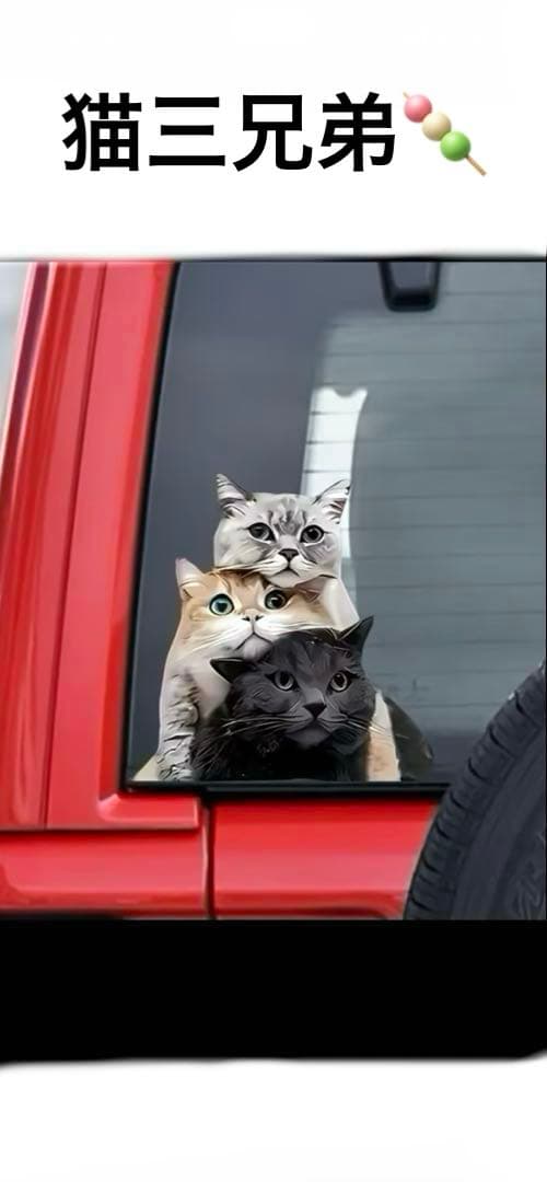 リアル猫❣️(=^x^=)ステッカー［21］ - メルカリ