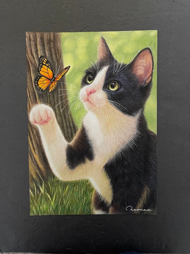 色鉛筆画 A4 ハチワレ猫131