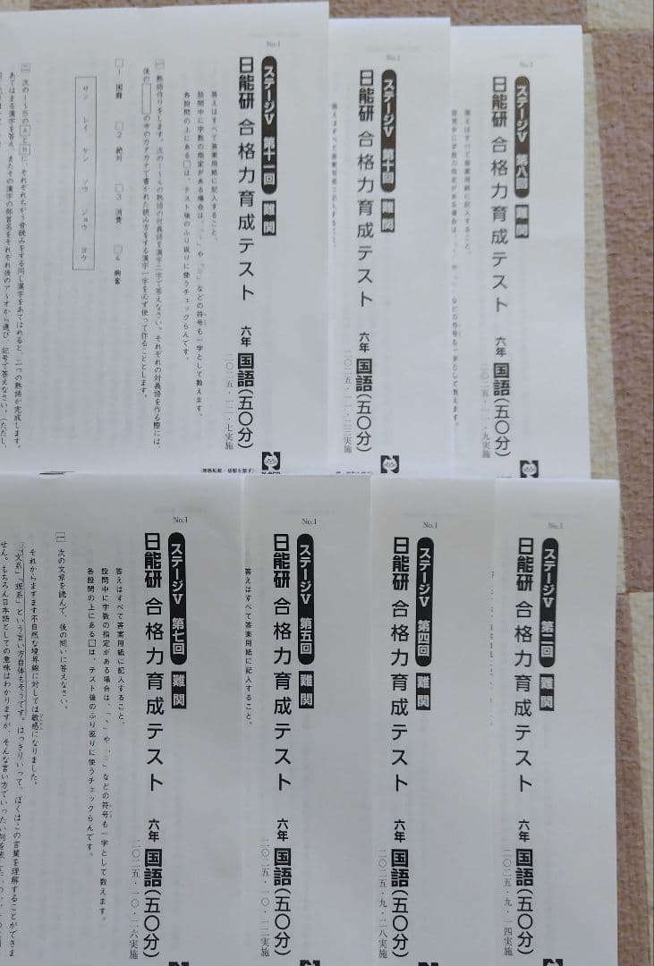最新版】2025年日能研6年 後期 合格力育成テスト 合格力実践テスト