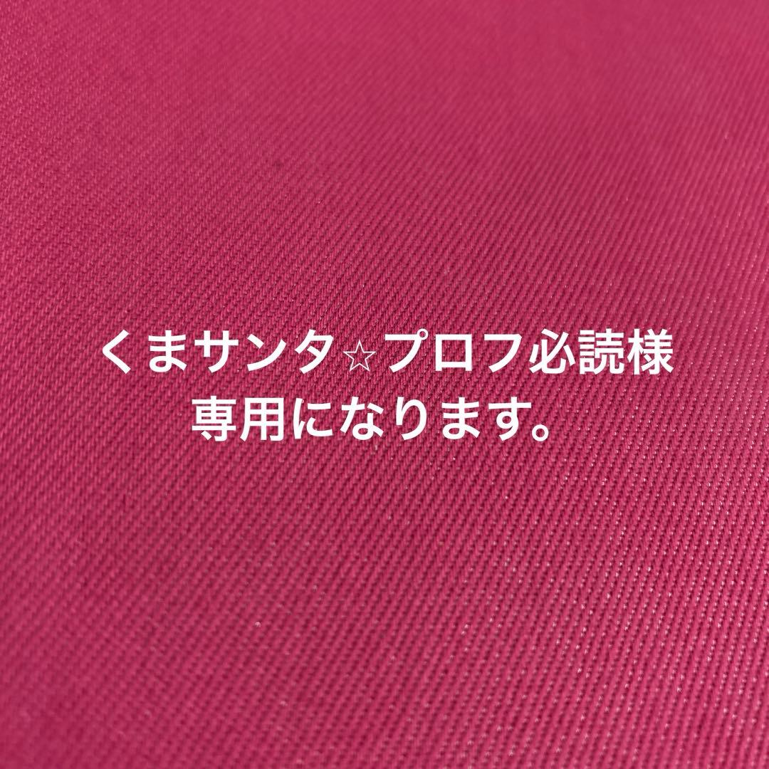 くまサンタ⭐︎プロフ必読になります。 園児「うれしくて涙が出そう」プロバスケ選手がサンタになってやって来