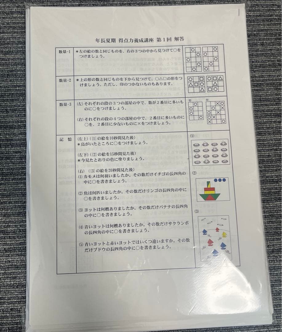 桐杏学園 夏季講習 得点力養成講座 全8回 - メルカリ