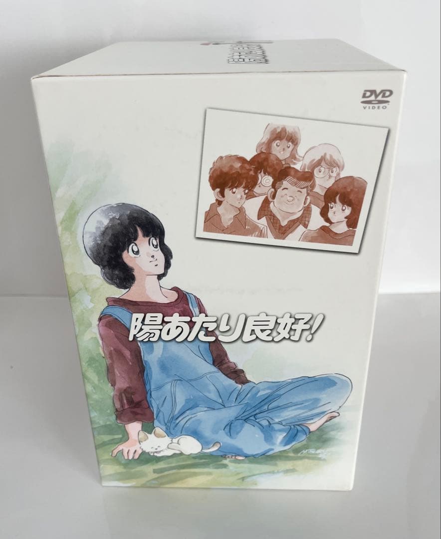 【美品】陽あたり良好! DVD-BOX 全8巻セット