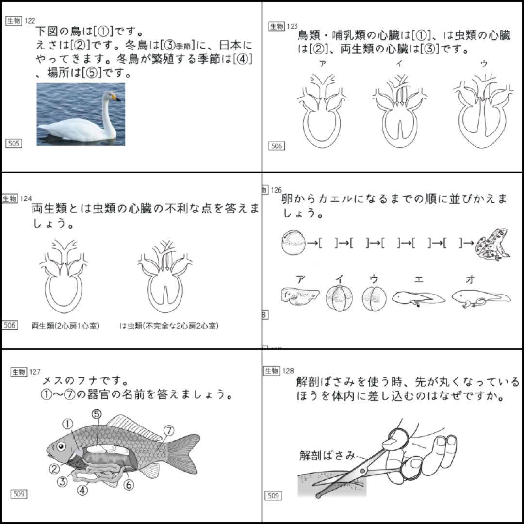 中学受験 暗記カード 理科 生物 サピックス 予習シリーズ コアプラス