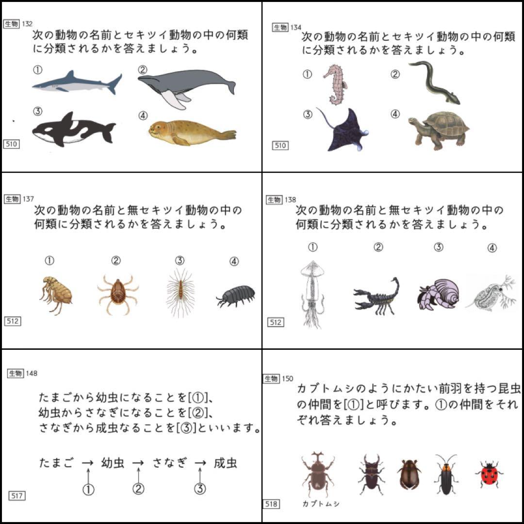 中学受験 暗記カード 理科 生物 サピックス 予習シリーズ コアプラス