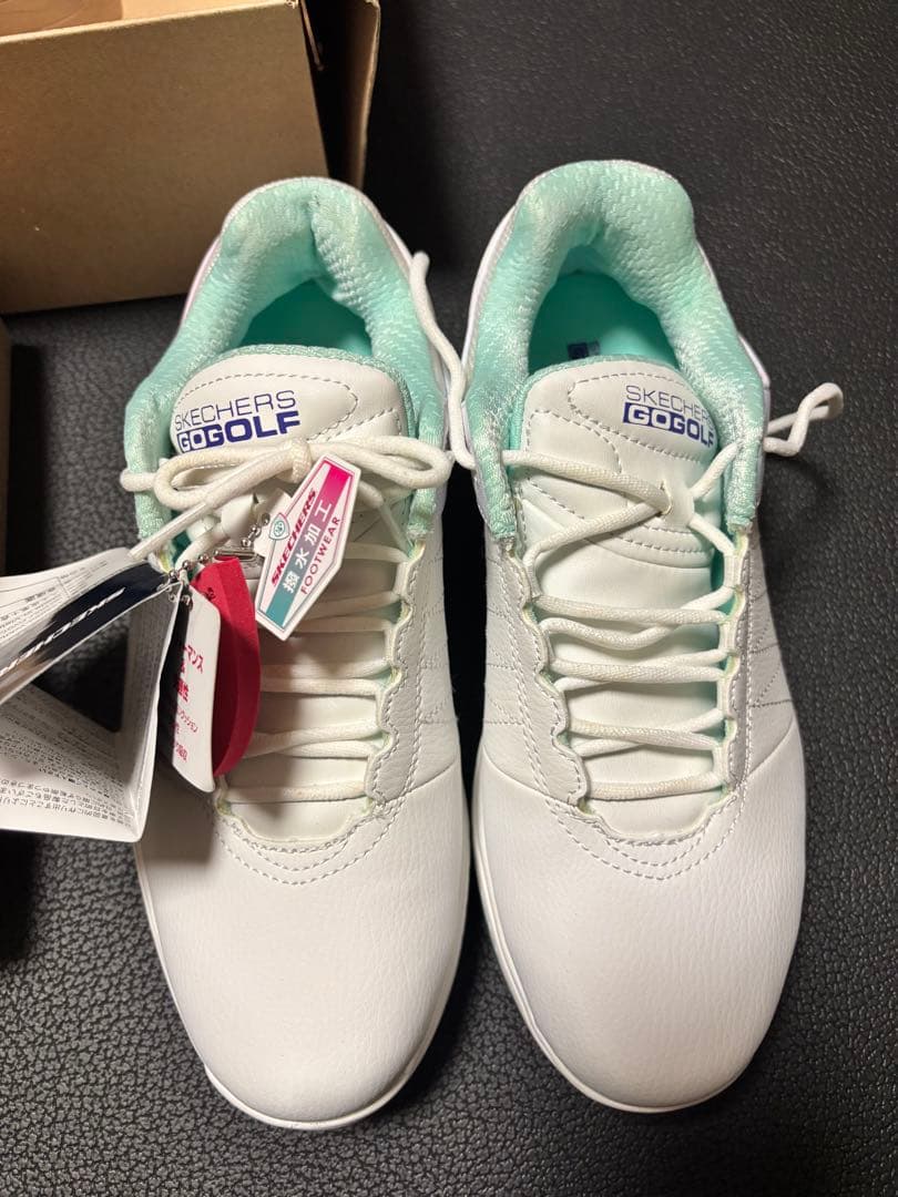 人文地理辞典 木内信蔵 アテネ文庫 古書