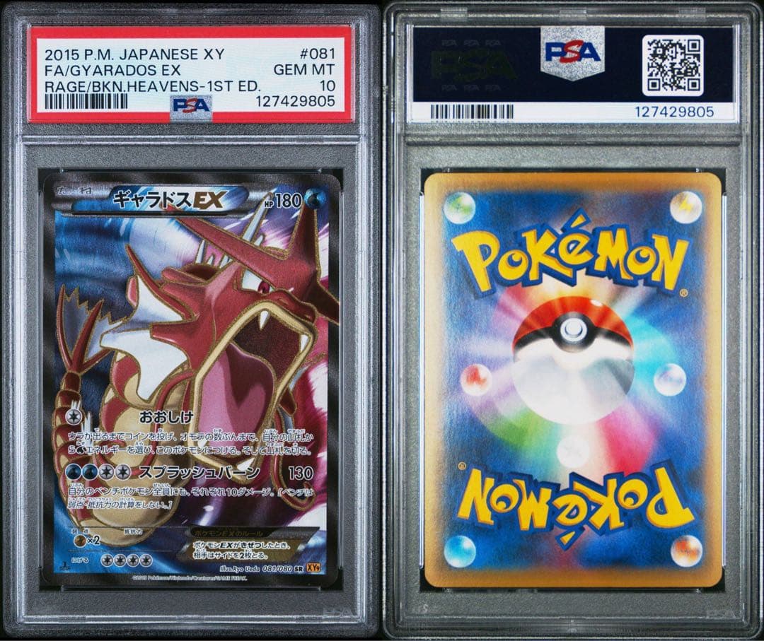 PSA10】ギャラドスEX SR XY9 破天の怒り 081/080 - メルカリ