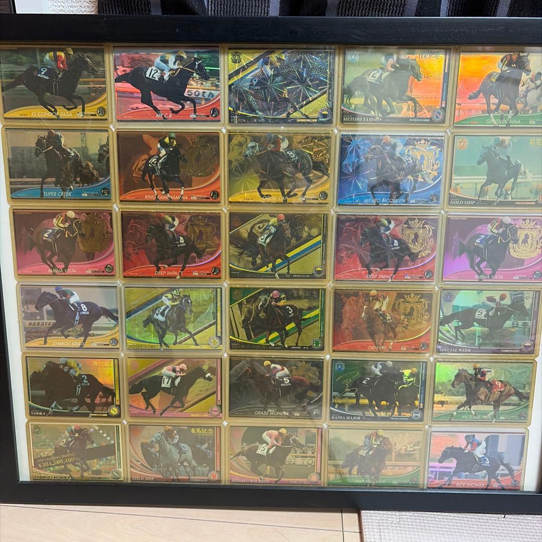 K*K様 オーナーズホース30枚セット コーナンオリジナル LIFELEX × takagi(タカギ) ホース ホースリール