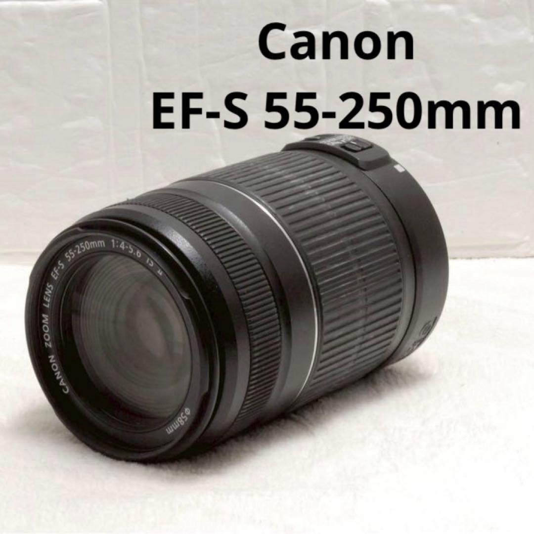 ❤️キャノン❤️超望遠レンズ❤️Canon EF55-250㎜❤️夏のお出かけ EF-S キヤノン Canon 55-250mm F4-5.6 IS STM 望遠レンズ 一眼レフ
