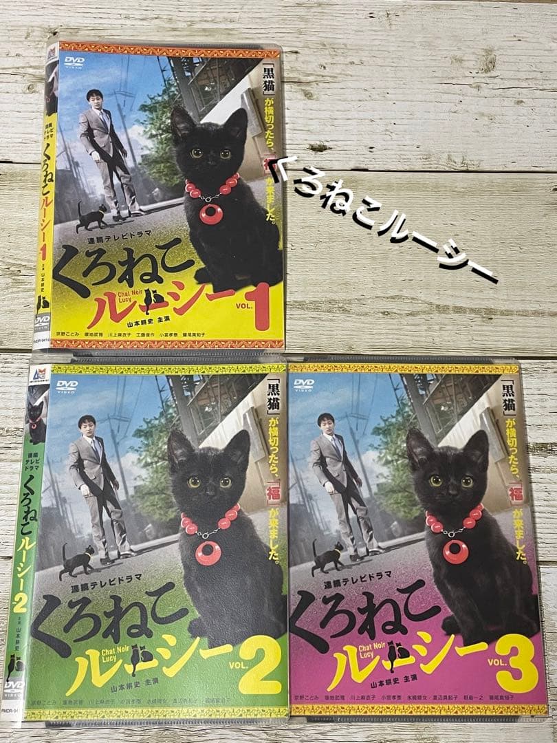 DVD くろねこルーシー 全3巻 山本耕史 レンタル - メルカリ