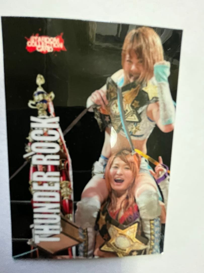 スターダム観戦ガイドブック 紫雷イオ、岩谷麻優、サンダーロック