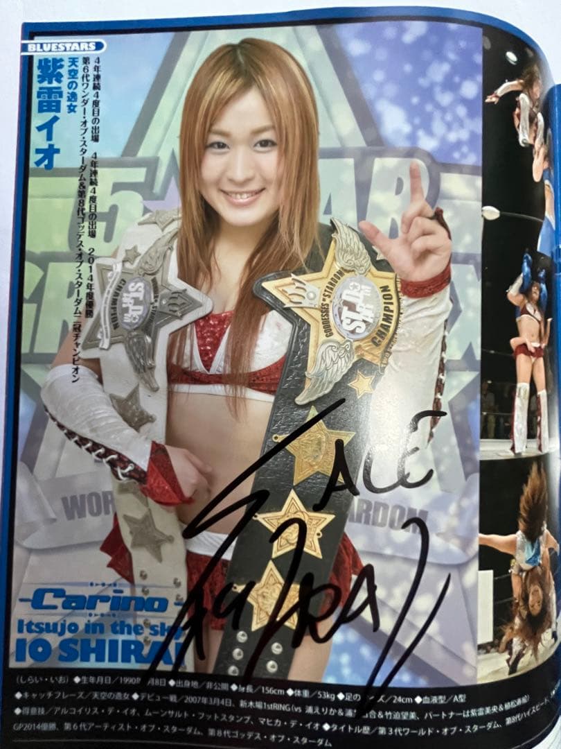 スターダム観戦ガイドブック 紫雷イオ、岩谷麻優、サンダーロック