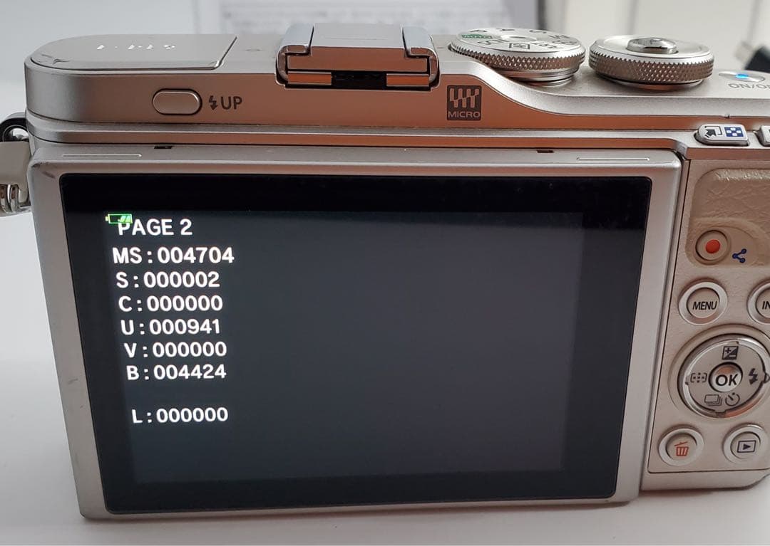 《 S数4704回！ 》オリンパス　OLYMPUS PEN E-PL9