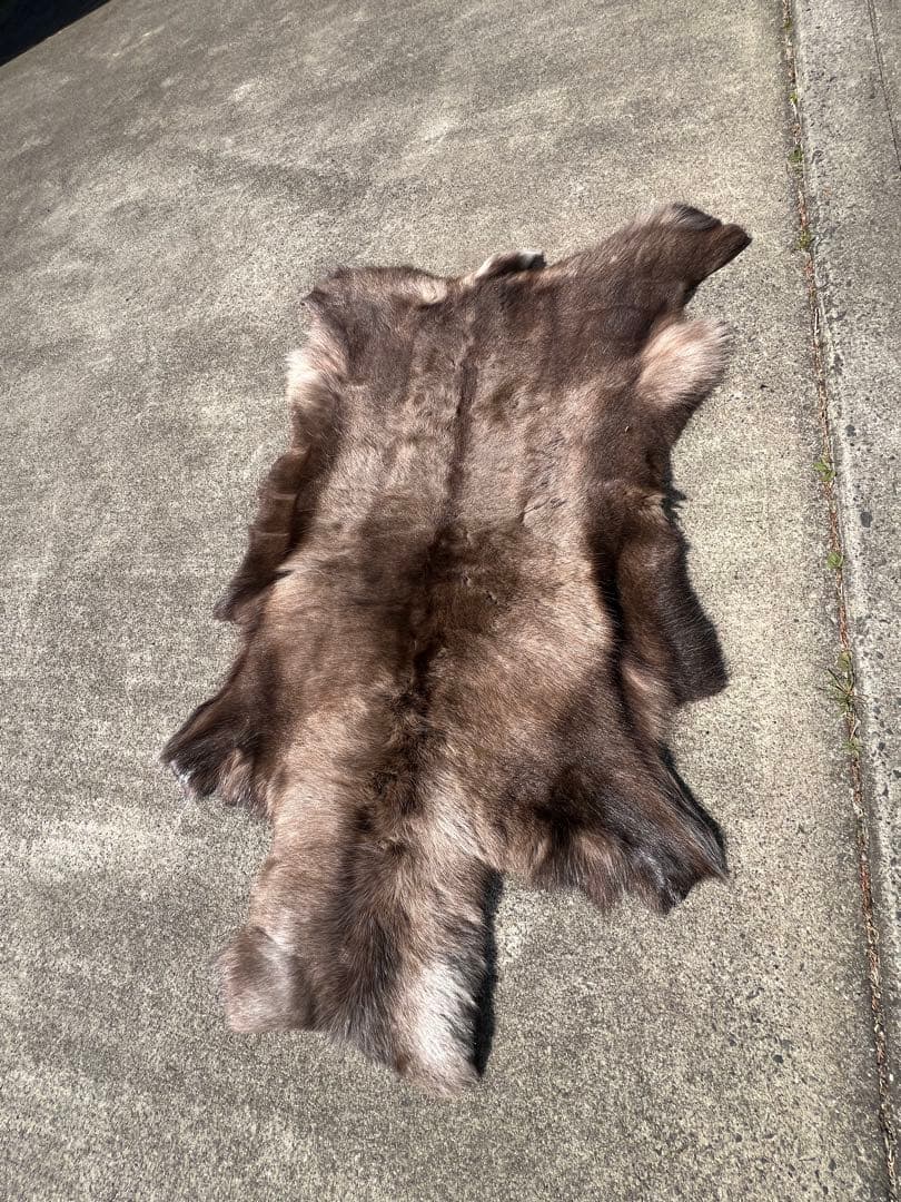 DALUM REINDEER FUR WARD L / ダーラム トナカイファー