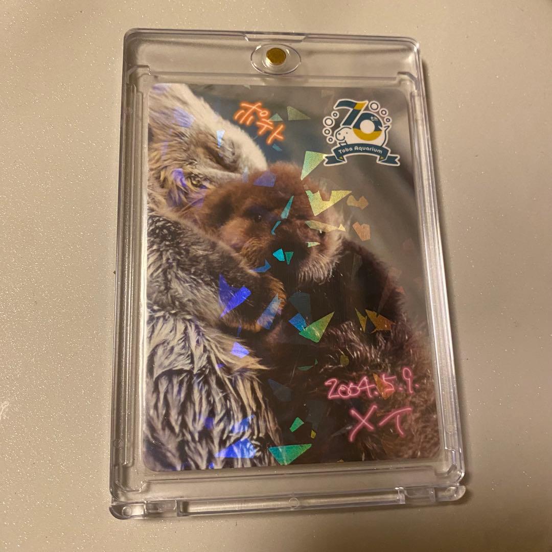 鳥羽水族館　コレクションカード　メイ 鳥羽水族館 コレクションカード メイ - メルカリ