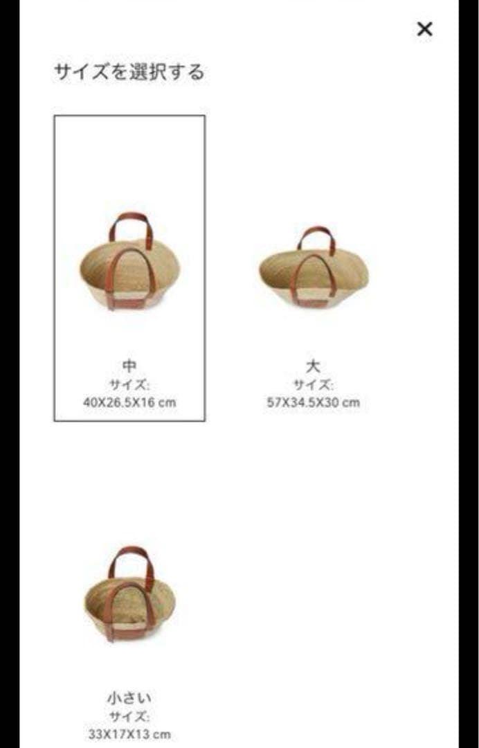 極美品LOEWE かごバッグ 中サイズMサイズ
