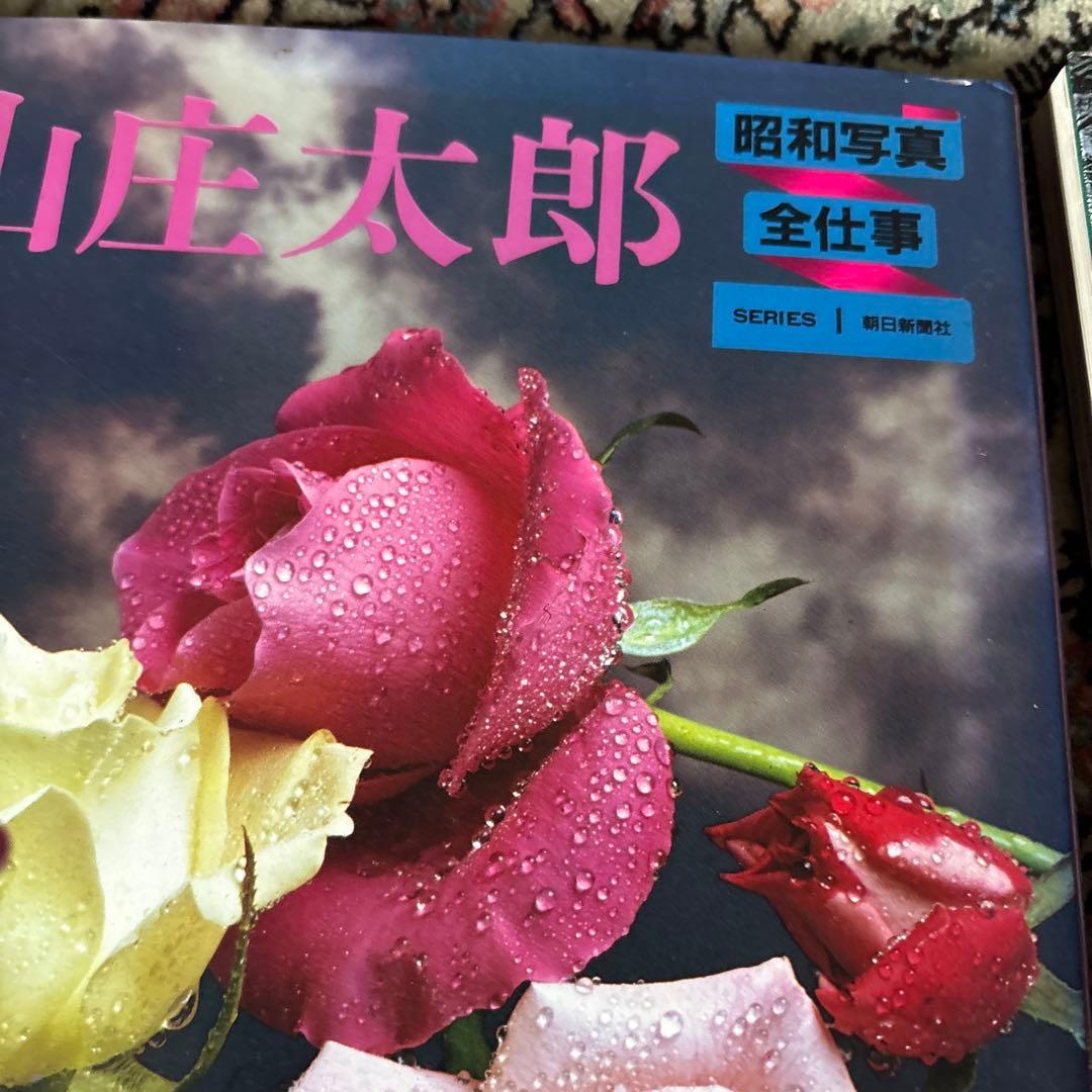 朝日新聞社発行、写真家たちの作品集1巻から14巻（12巻が抜け有）全部で13冊。