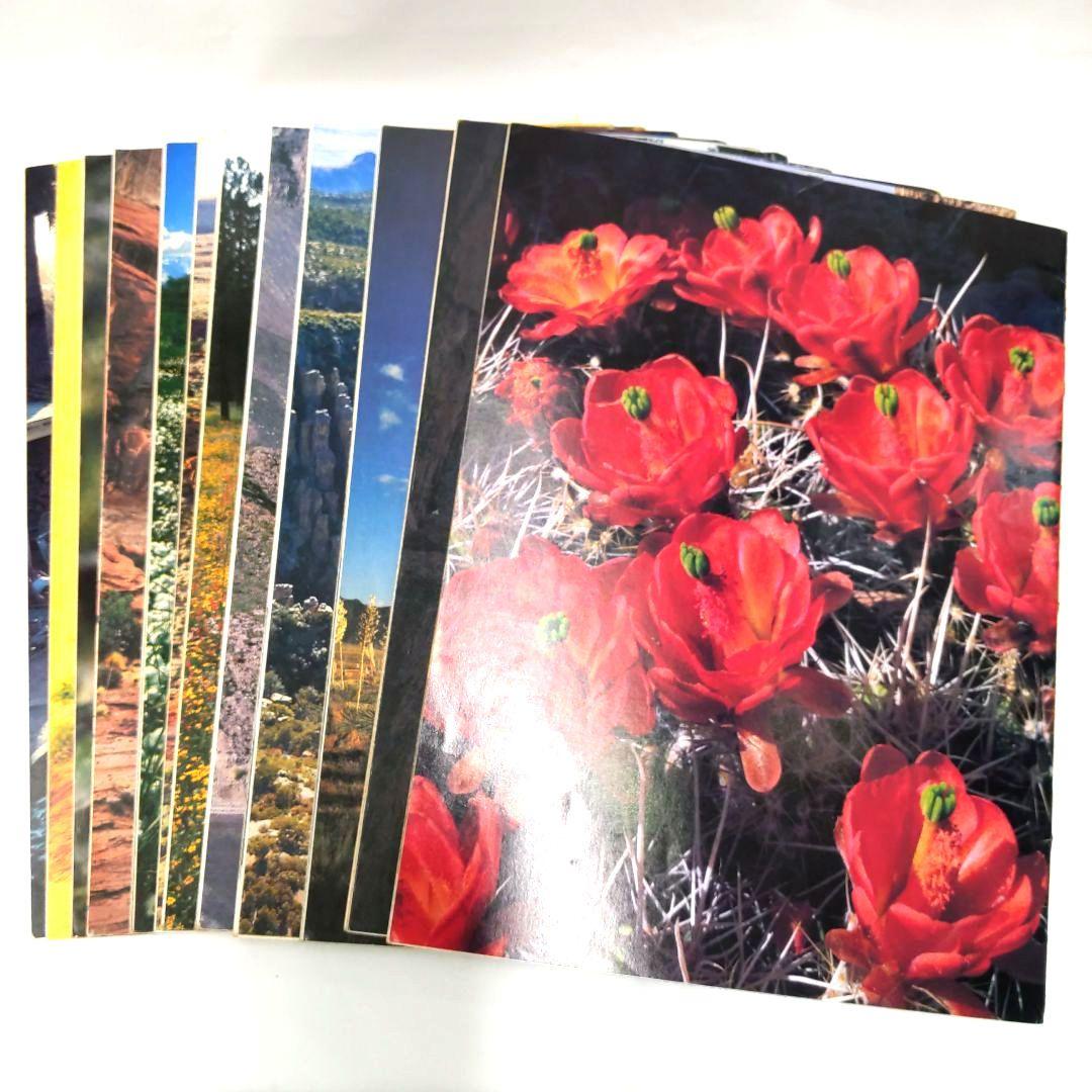 ARIZONA HIGHWAYS 1982年 1年分 アリゾナハイウェイ 洋書 - メルカリ