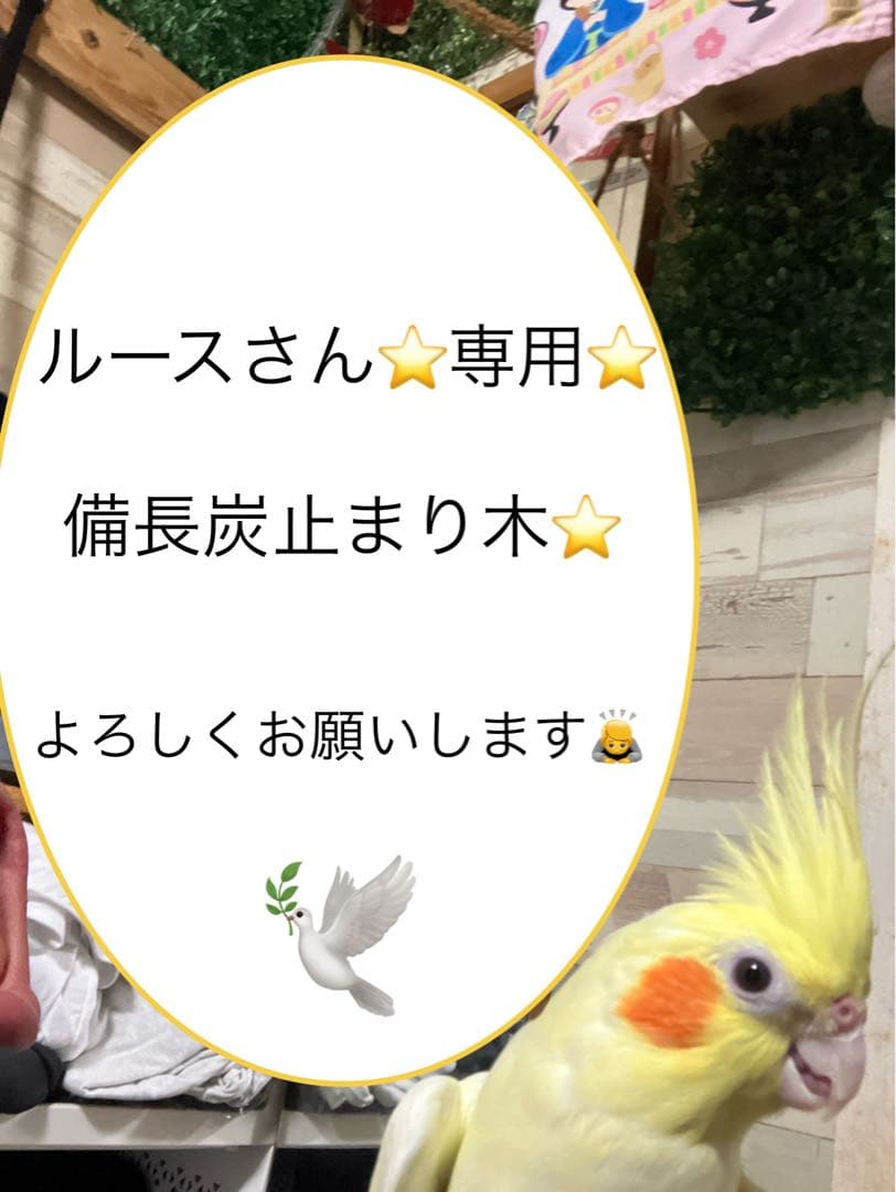 備長炭止まり木⭐️パーチ⭐️止まり木⭐️専用です♪(๑>◡<๑)✨ Leaf Corp 小鳥の爪とぎ用 備長炭とまり木 スタンダード 長さ15