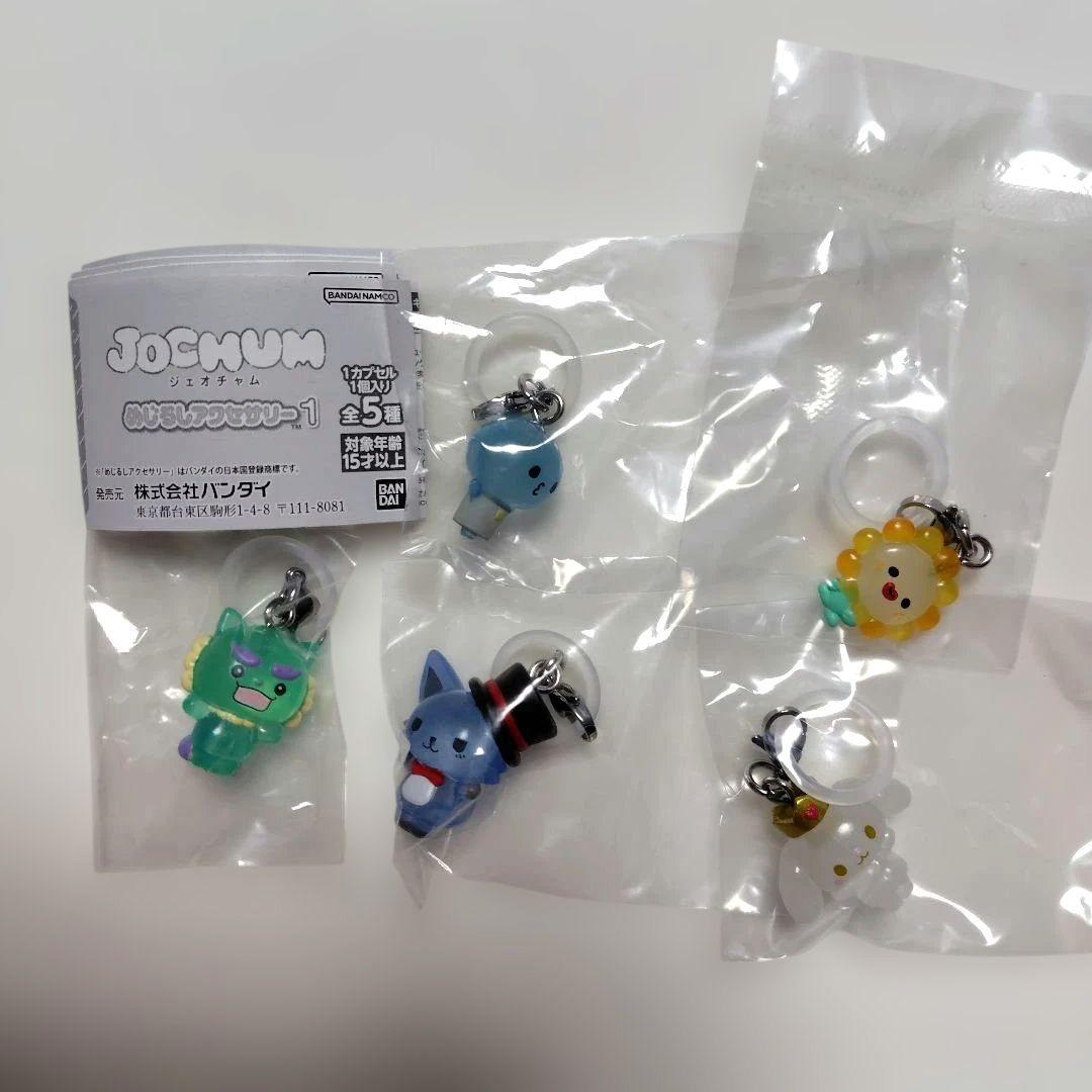 JOCHUM めじるしアクセサリー1 全5種 コンプリートセット - メルカリ