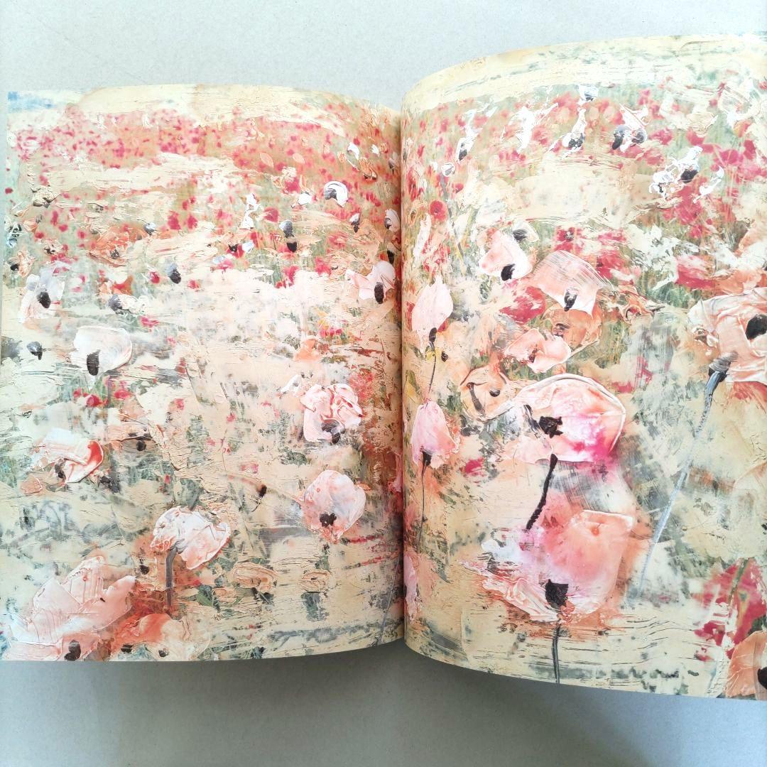 über euren Städten wird Gras wachsen/写真集