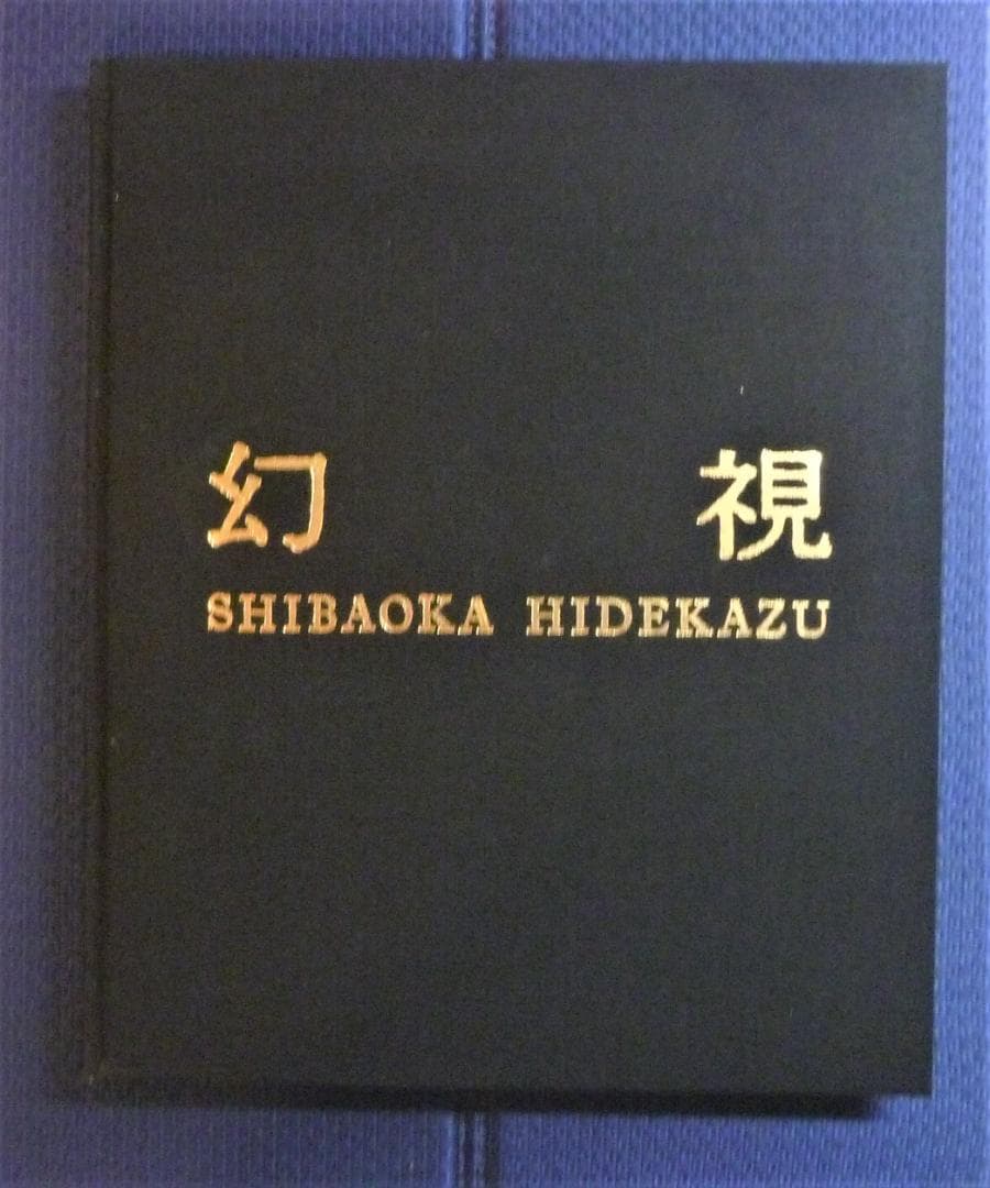 【500部私家本●テストショットポラロイド（サイン付き）等付属】「幻視」柴岡秀和 500部私家本○テストショットポラロイド（サイン付き）等付属】「幻視
