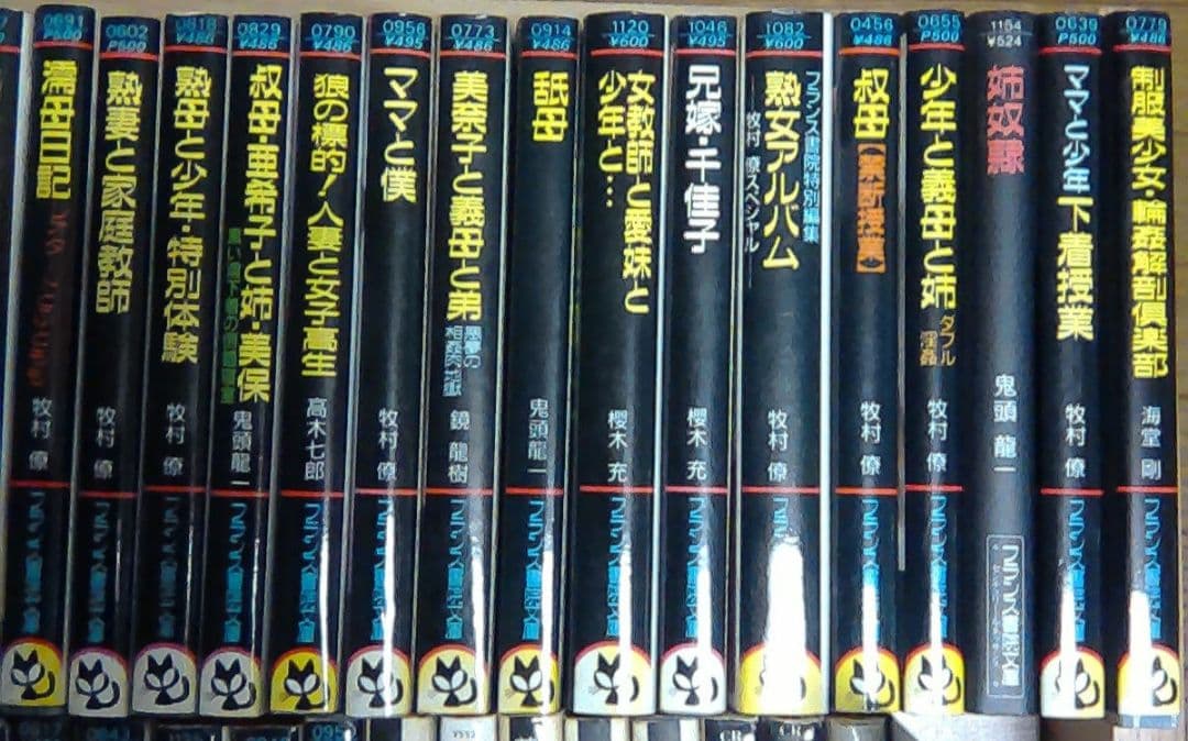 官能小説まとめ売り　計８５冊