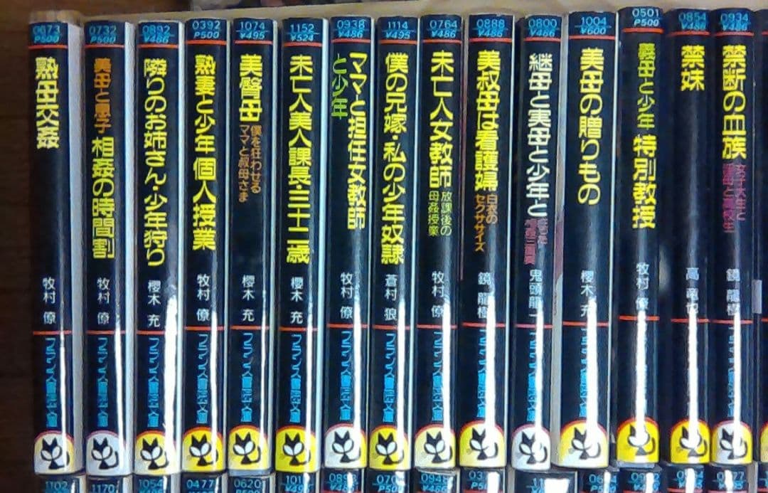 官能小説まとめ売り　計８５冊