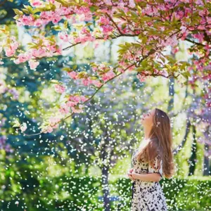 郵便局限定デザイン 2025年ロサンゼルス・ドジャース スヌーピー