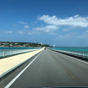 SKY SPEED OF SOUND SOS-13 MFJ公認レーシングスーツ - メルカリ