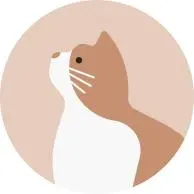 希少！HANAHANA ハイビスカス アッシュトレイ 2個セットPIONEER - メルカリ