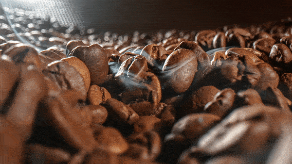 ワンタッチで強力真空保管！6ヶ月以上新鮮で美味しいコーヒーの秘密