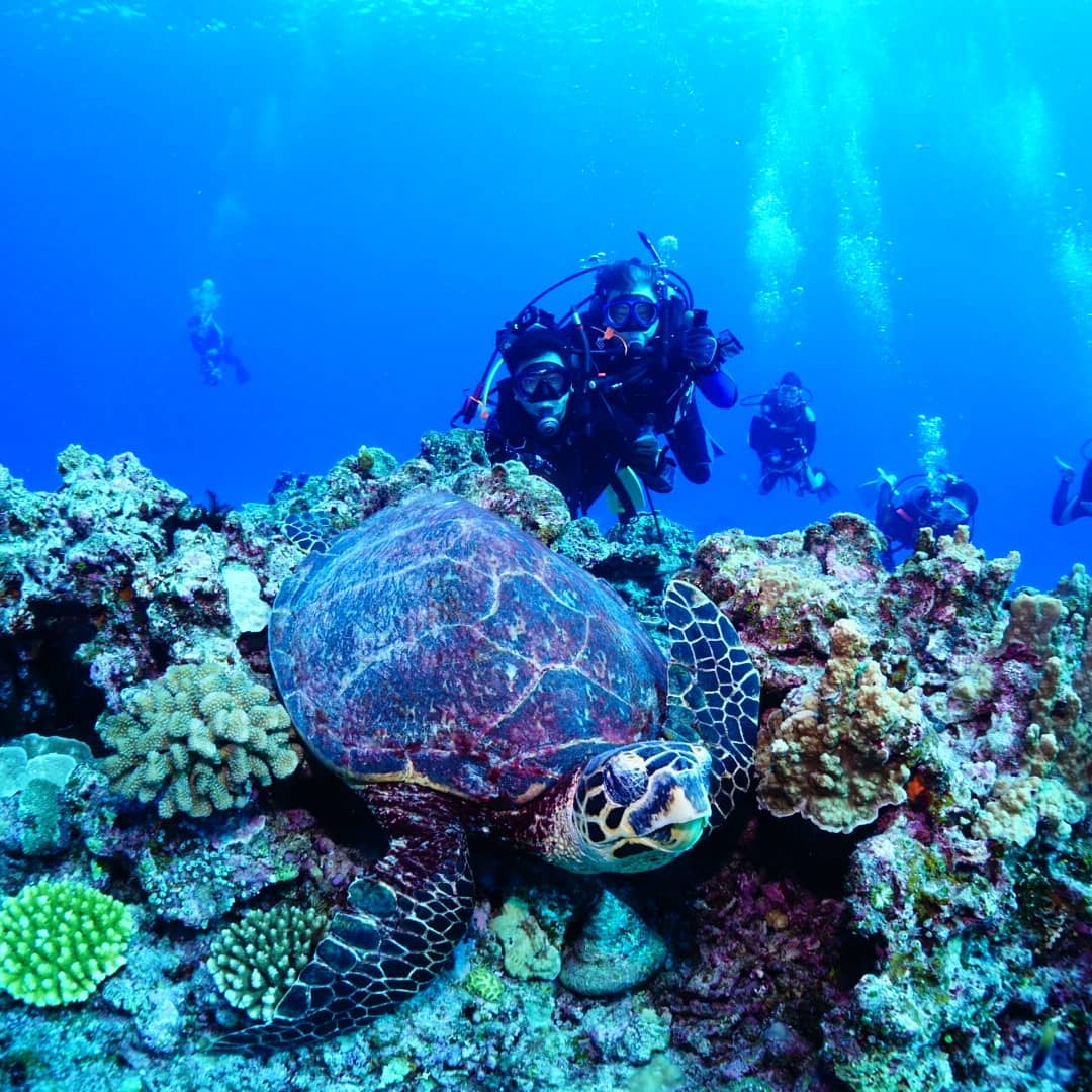 神楽坂から美と健康を世界に発信。第一弾：フリーズドライ製法お肌に