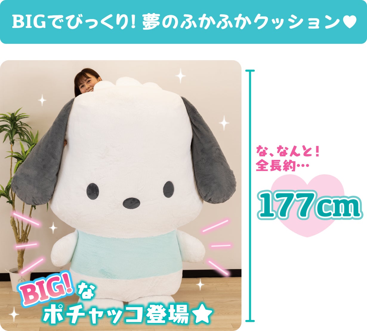 ポチャッコと暮らそう☆夢の超BIGふかふかぬいぐるみクッション