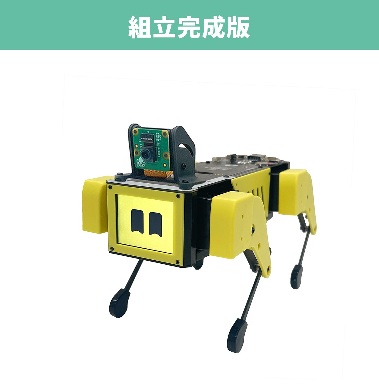 ChatGPT搭載！会話もできる四足歩行AIロボット犬『ミニぷぱ2