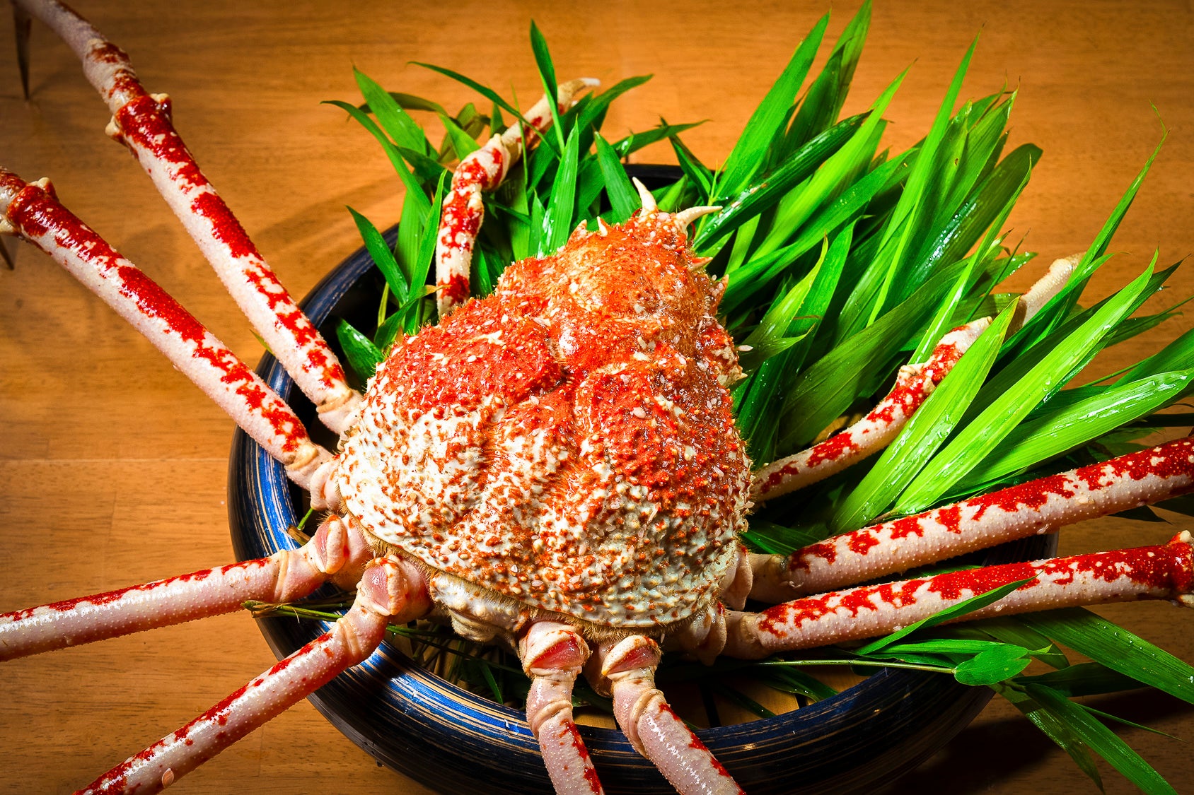 detail_41316_17185811002862.