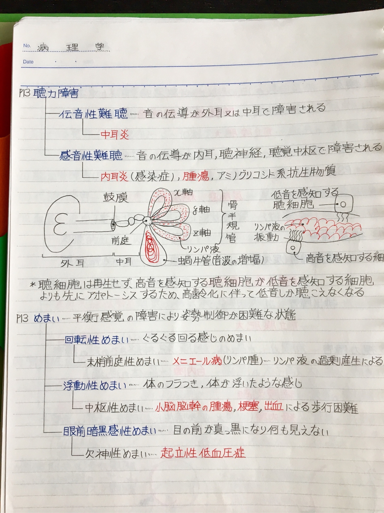 臨床工学技士、言語聴覚士国家試験、定期試験対策シリーズ【病理学