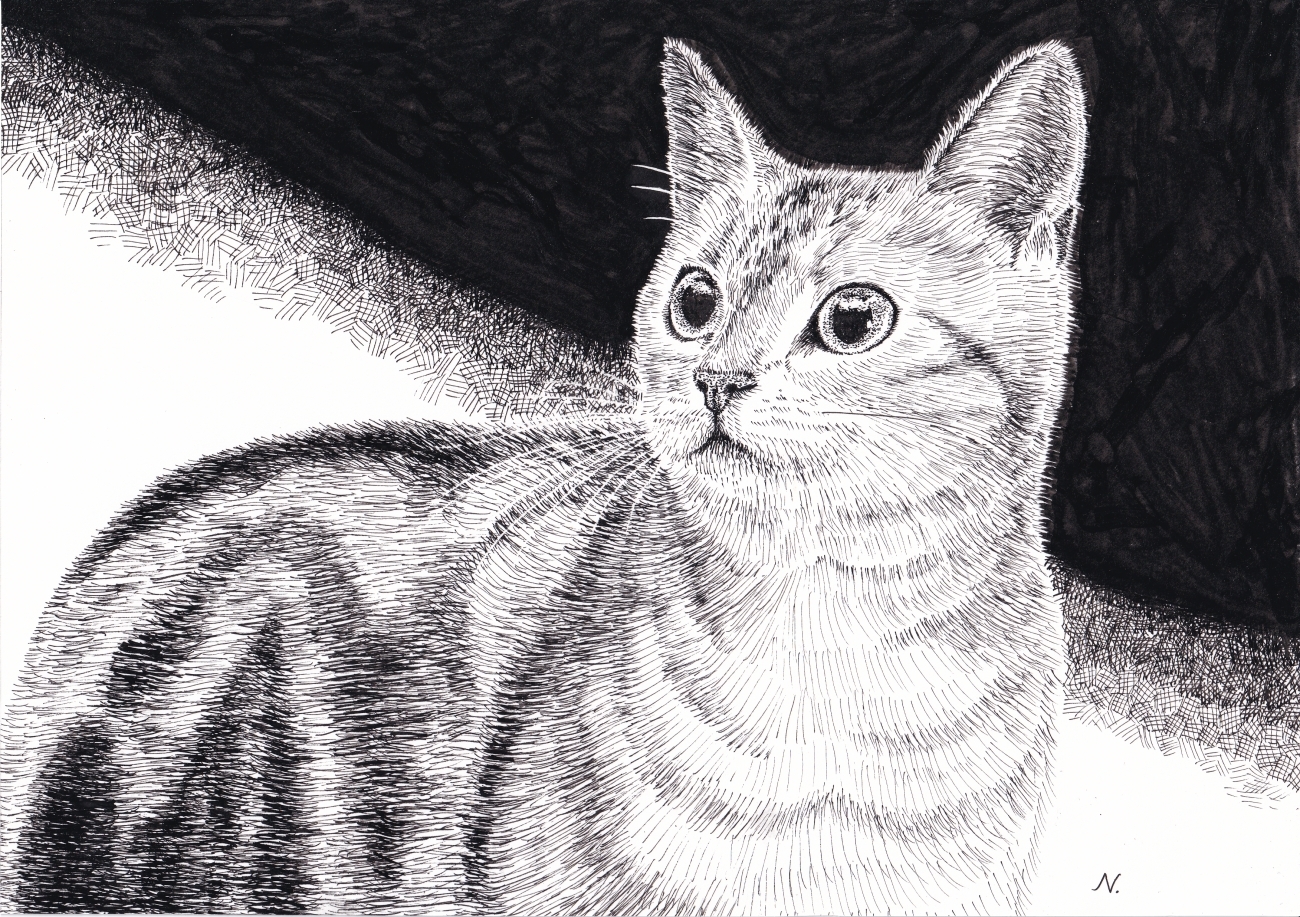 動物のペン画「猫」A4サイズ - WANKOROTA'S GALLERY | minne byGMO