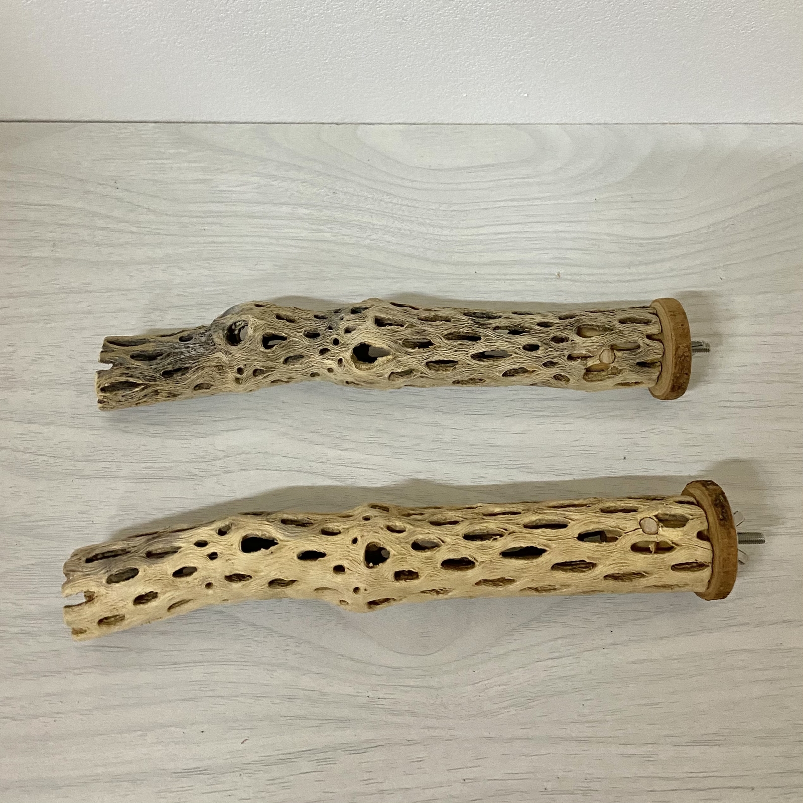 展示用】鳥 とまり木 カクタスパーチ（サボテンのとまり木）インコ