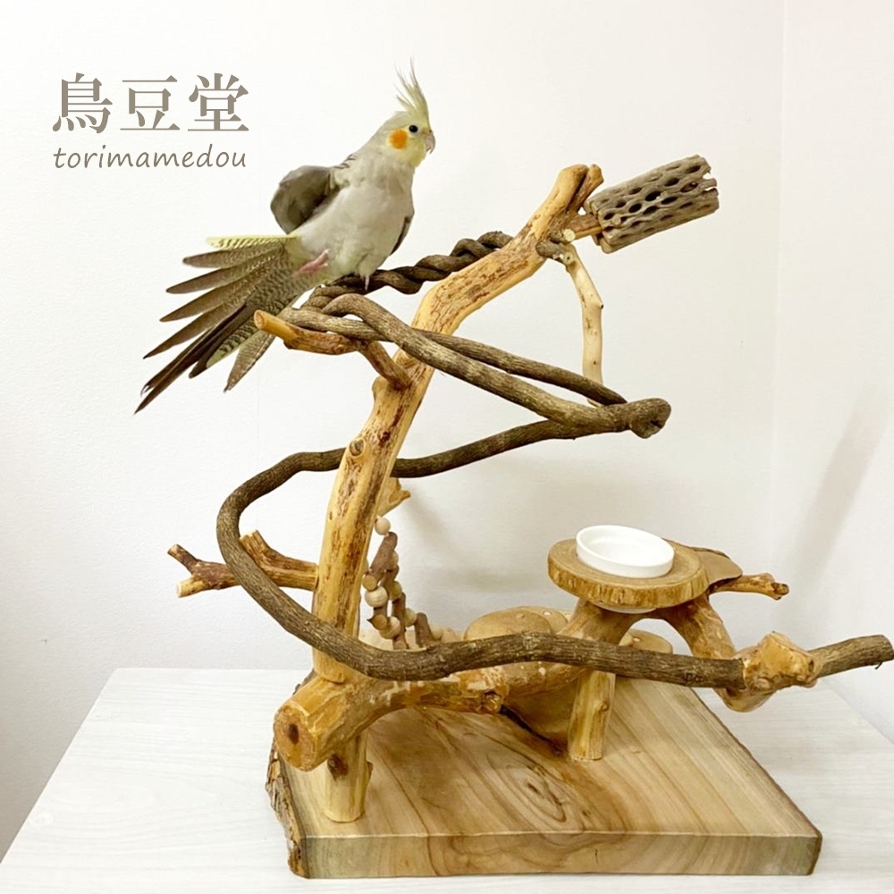 展示用】自然木（ツタ）のぐるぐるバードアスレチック バード